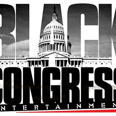 BLACK CONGRESS ENTERPRISES LLC