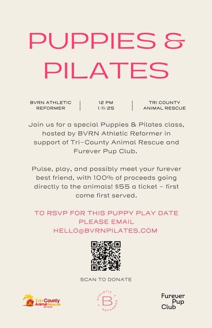 Puppies and Pilates