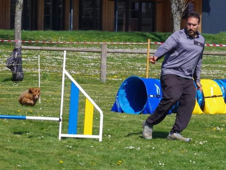 Concours Agility Damparis 2025