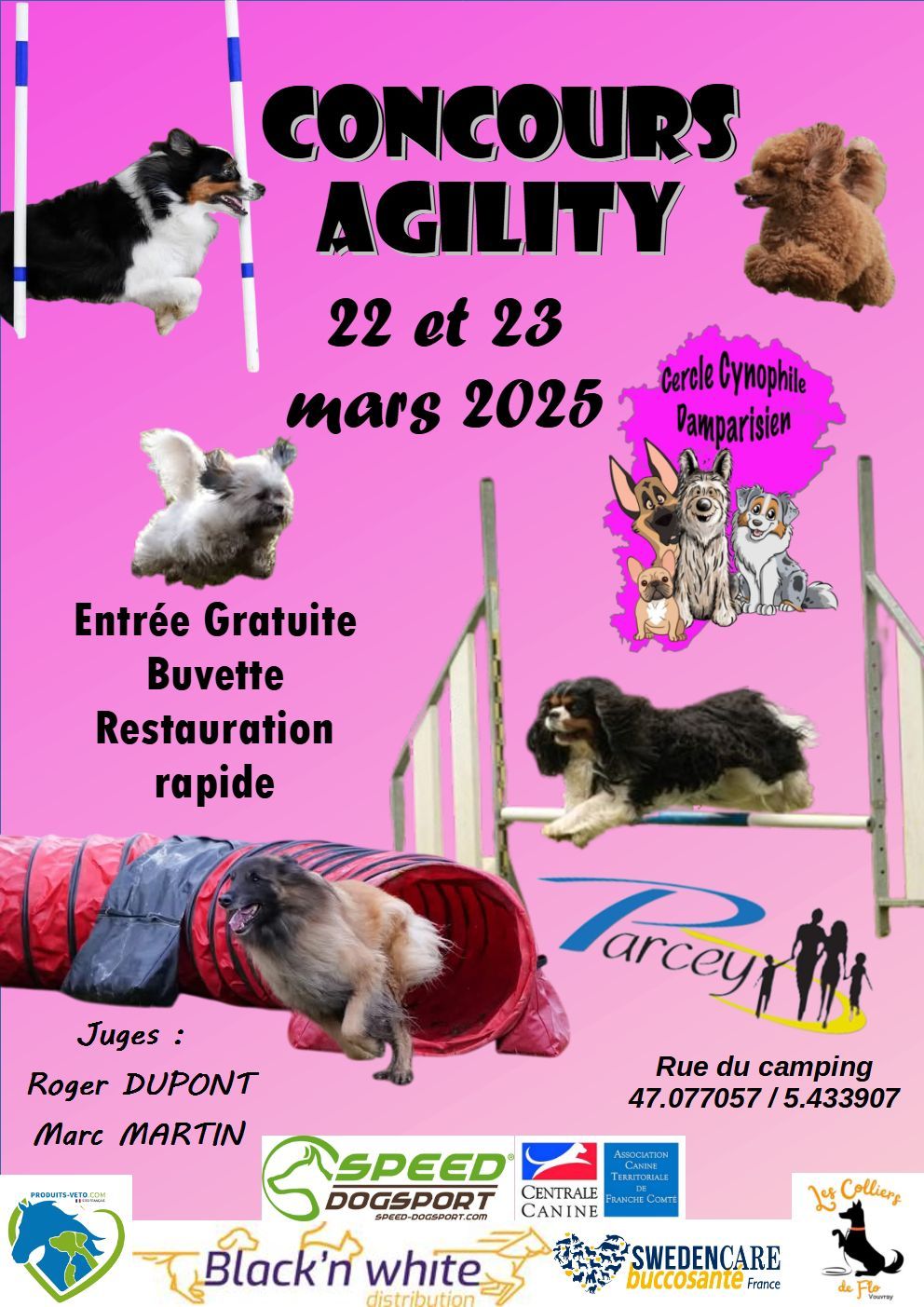 Concours Agility Damparis 2025