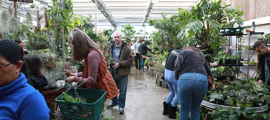 Extraordinary Houseplant Event | Citrus Heights 