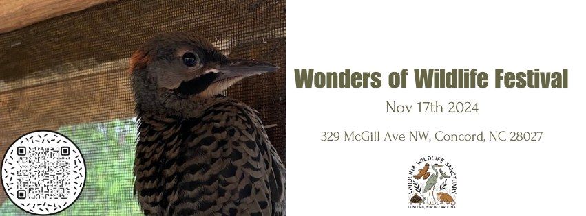 Wonders of Wildlife Festival