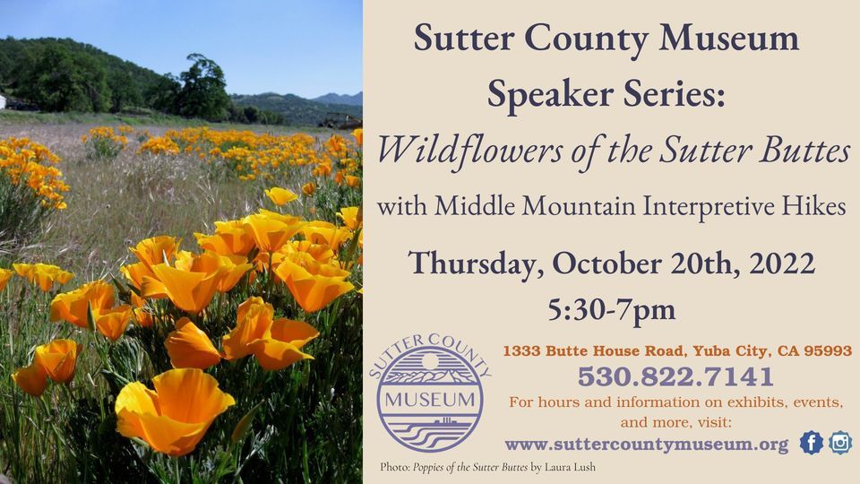 Sutter County Museum Speaker Series: Wildflowers of the Sutter Buttes