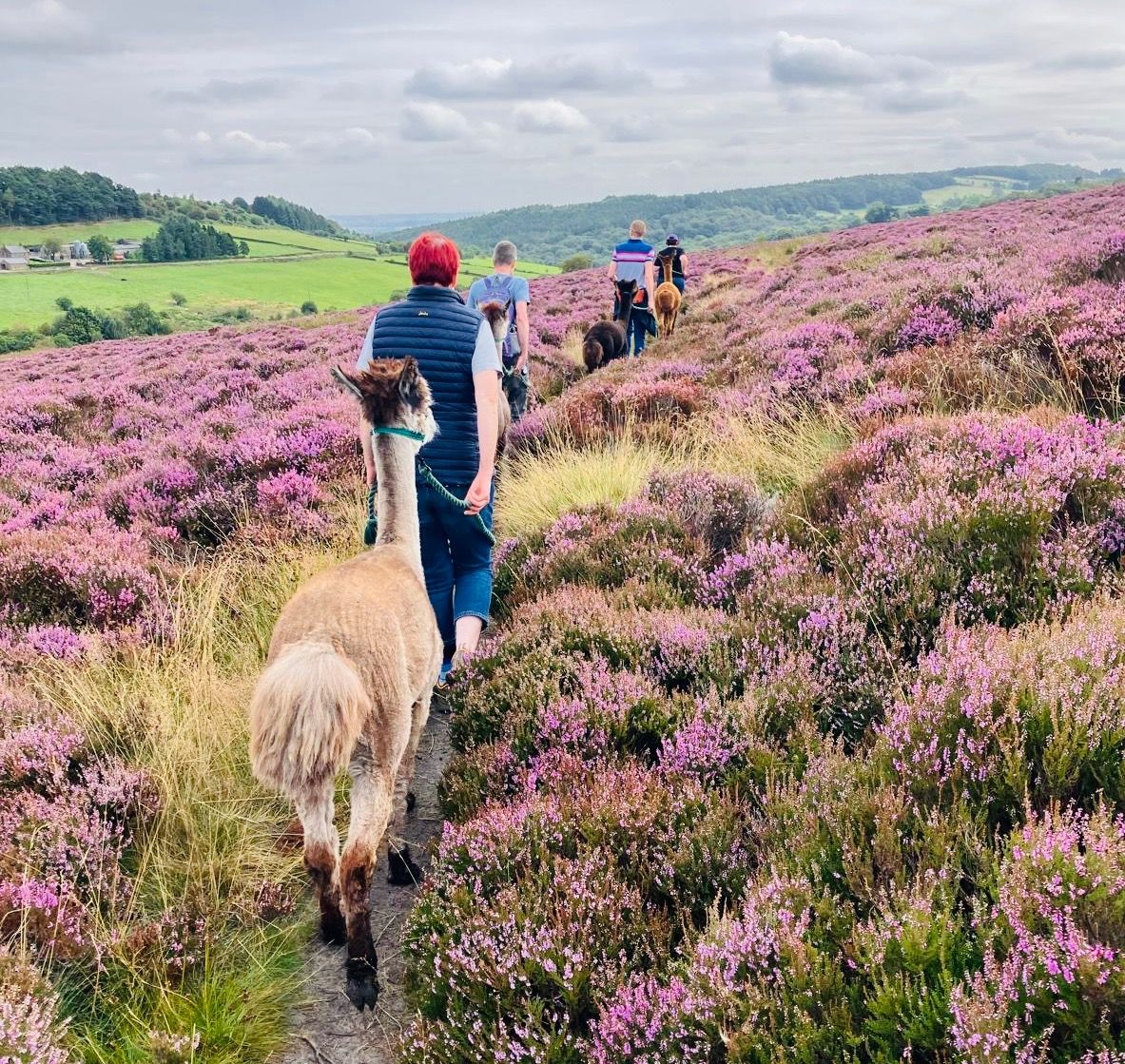 End of Season Yoga & Trekking with our Furry Friends 