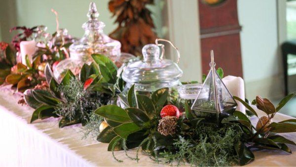 Terrariums: Bringing Gardening Indoors | Adult Workshop