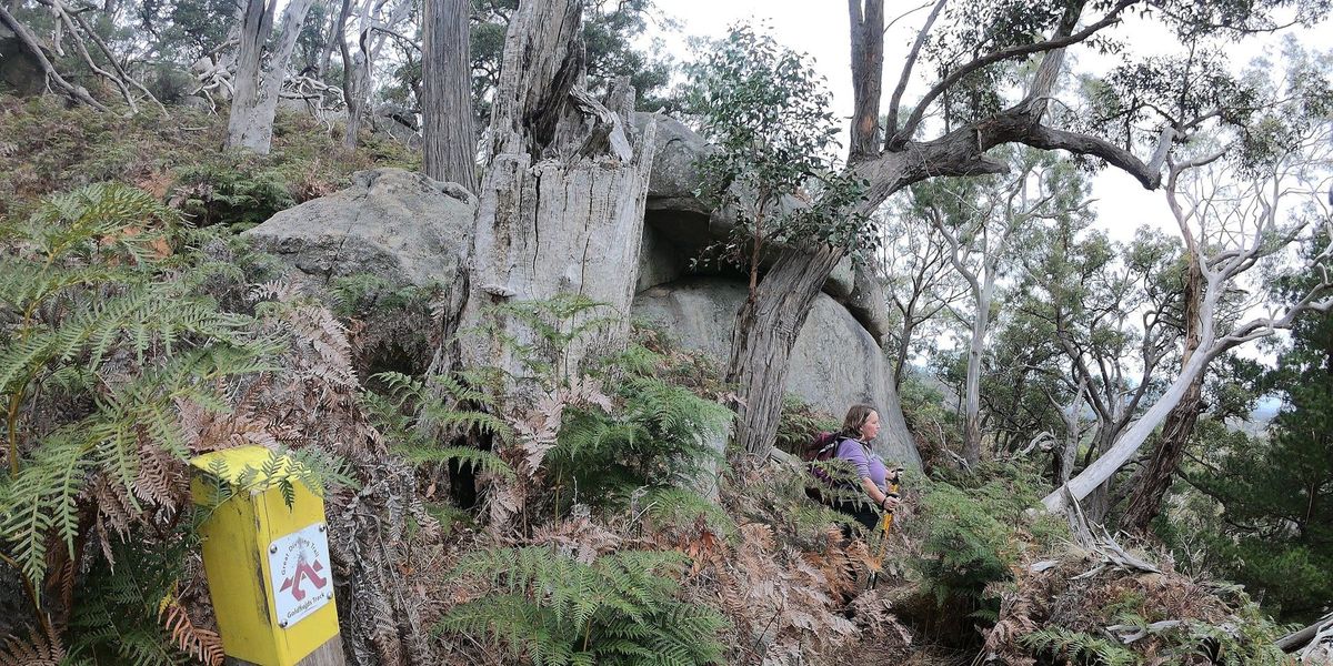 Try Bushwalking Month - Mt Alexander (Leanganook) West Spur and Cidery walk - Grade 4 (medium)