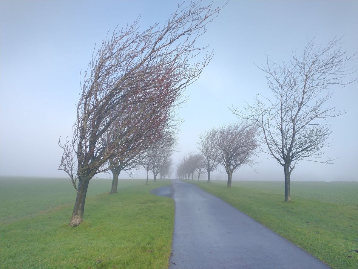 Midlife Hikers walk at Huggate