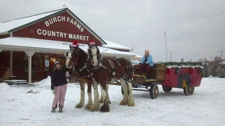 Burch Farms Private Carriage Rides