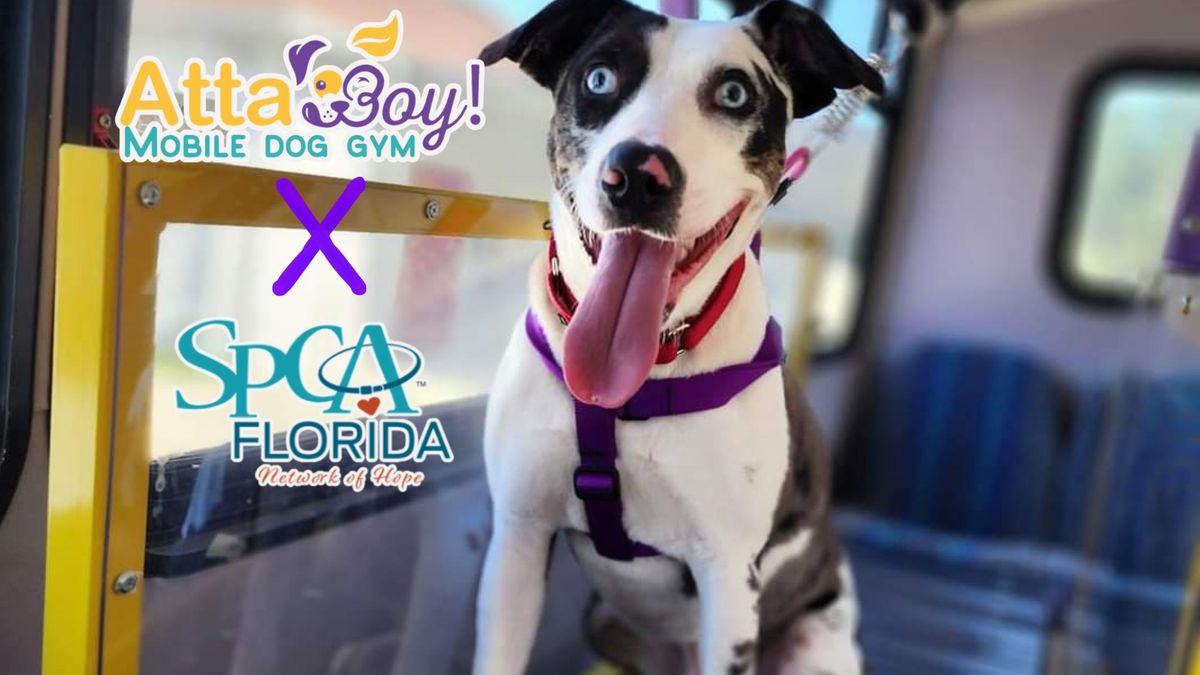 Atta Boy! Mobile Dog Gym at SPCA Florida 2nd + 4th Wednesday