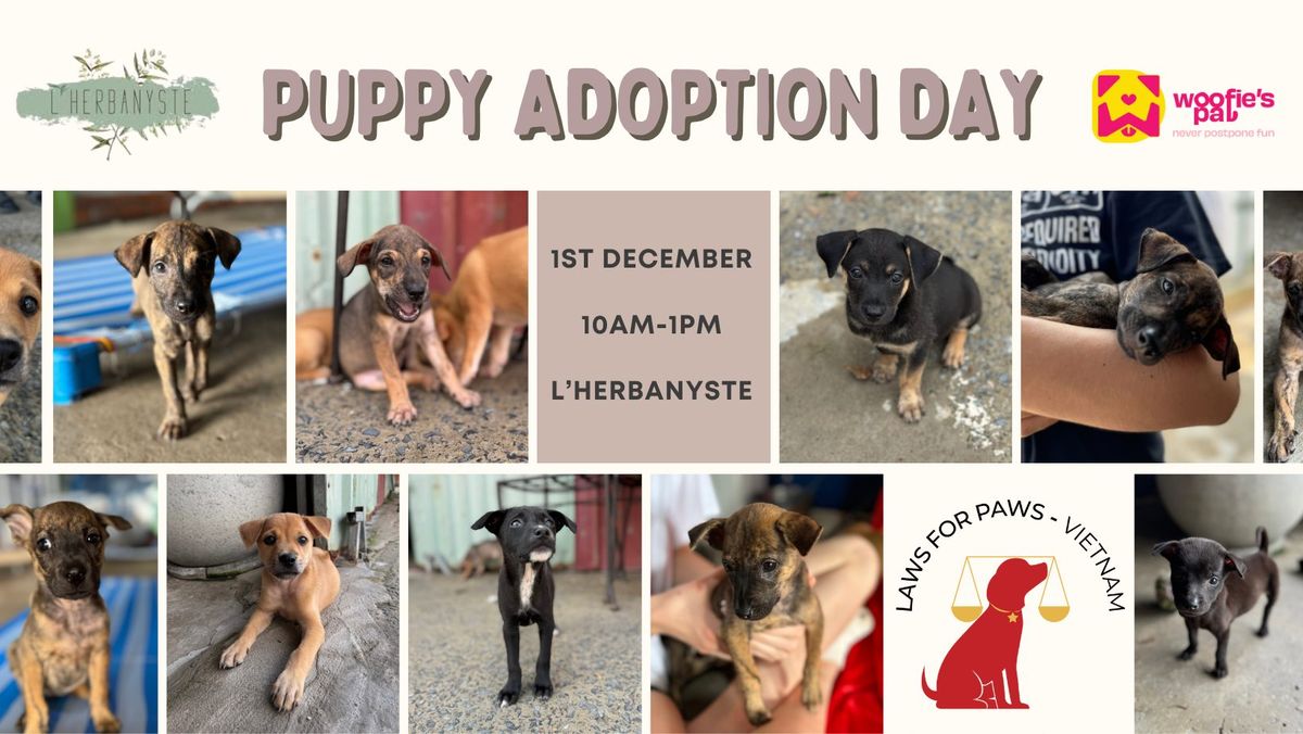 Puppy Adoption Day