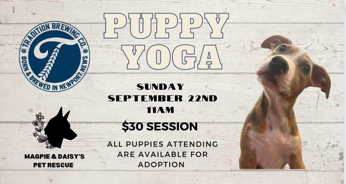 Puppy Yoga @Tradition Brewing 