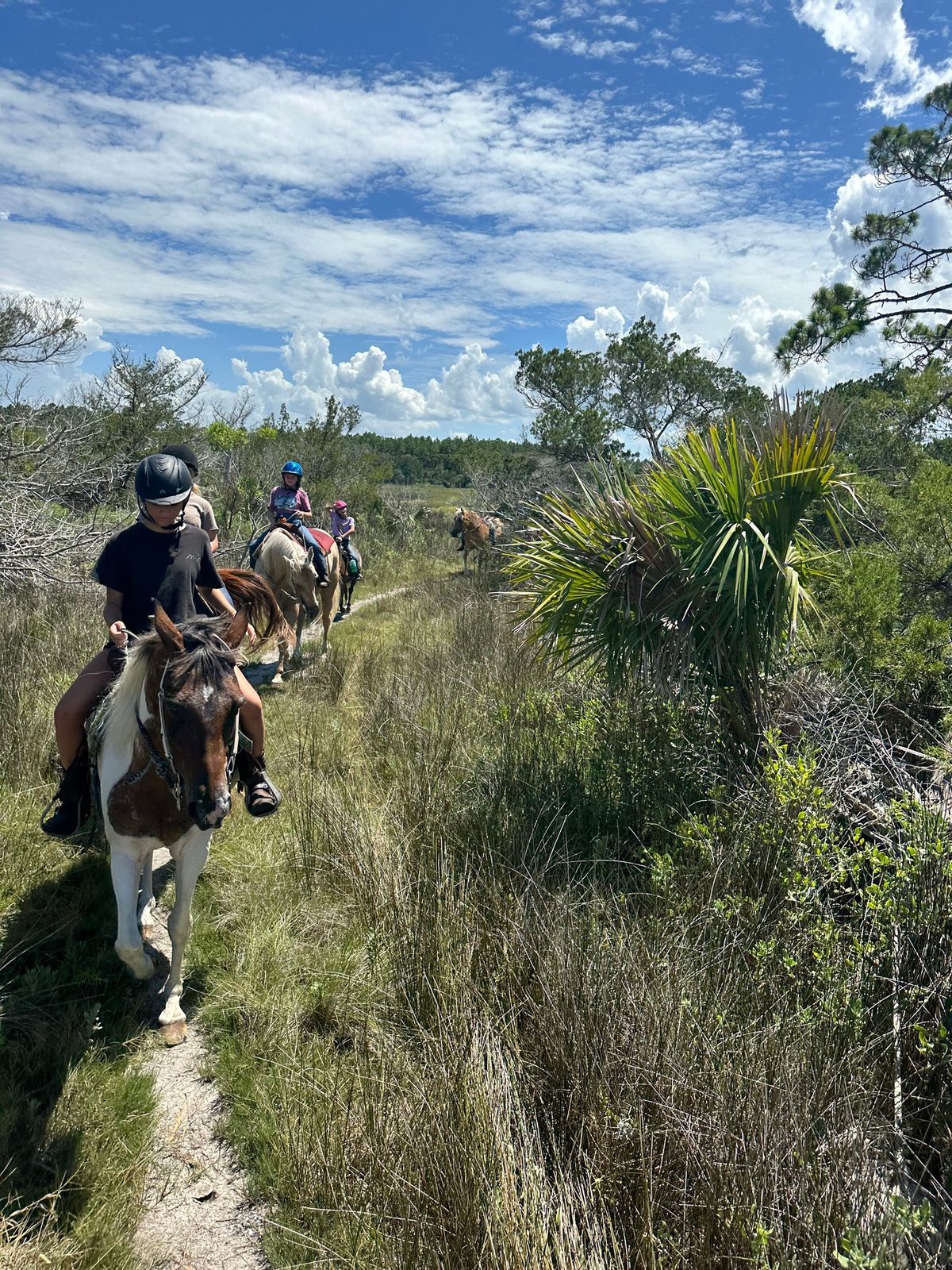 Spring break kids camp with horses !! 