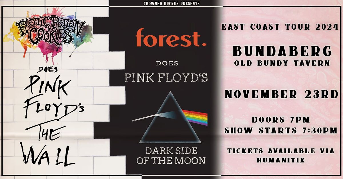 PINK FLOYD TRIBUTE NIGHT - THE WALL & DARK SIDE - BUNDABERG