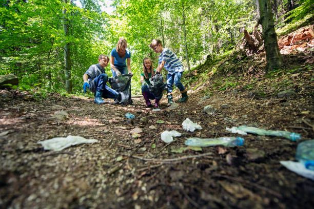 Skyline Drive Cleanup