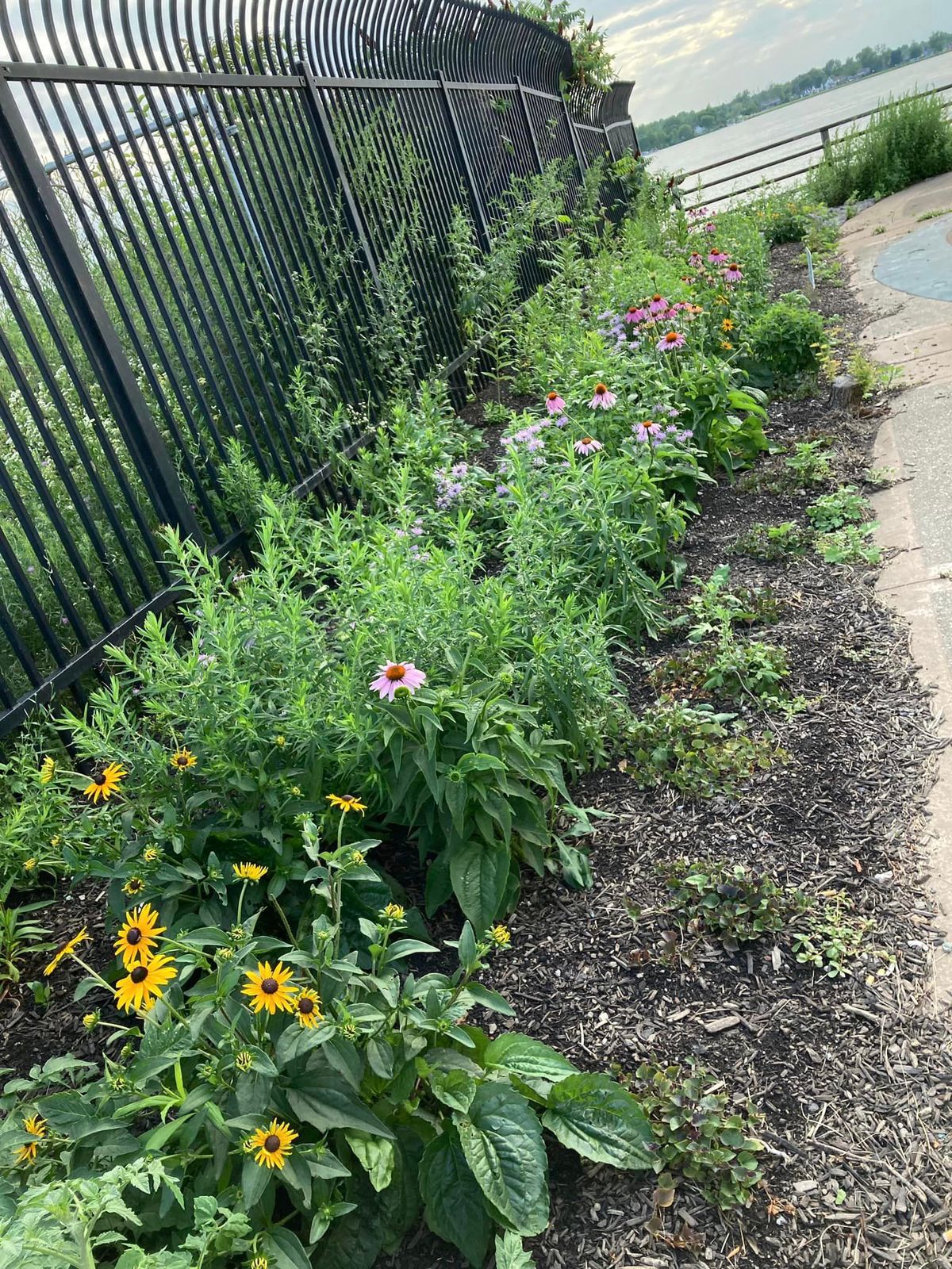 Pollinator Garden Greenway Cleanup