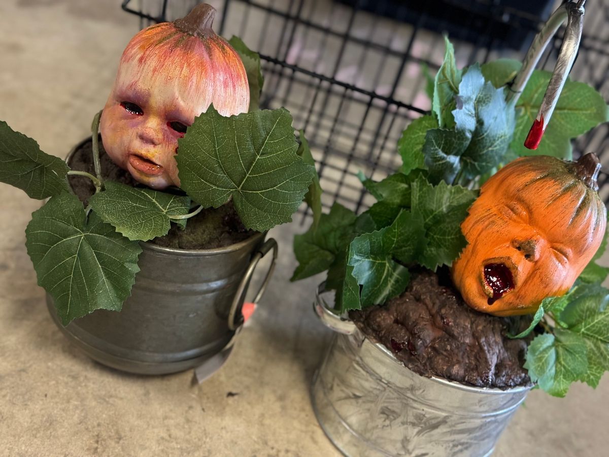 Pumpkin Babies Or Mandrakes 