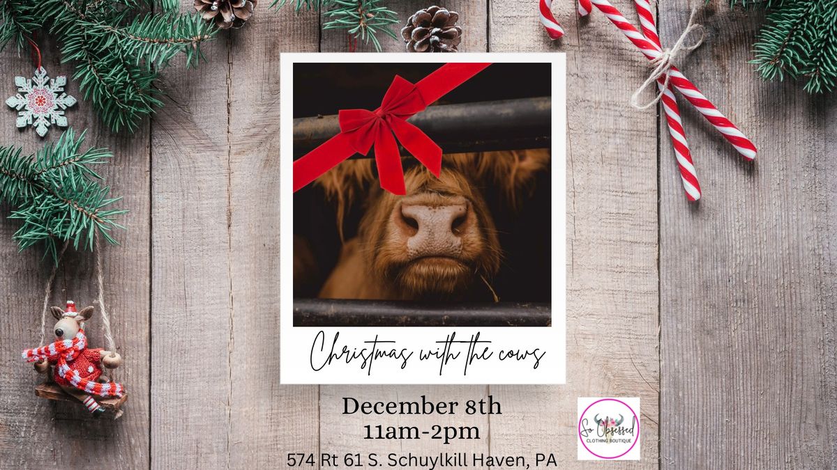 Christmas with the Cows\u2764\ufe0f\ud83d\udc2e\ud83d\udcf8