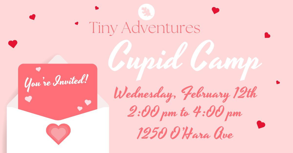 Tiny Adventures: Cupid Camp