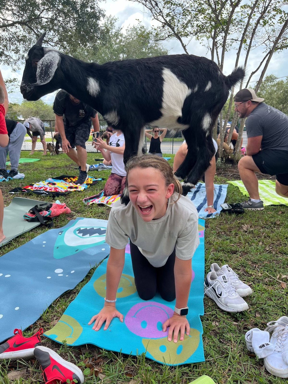 Goat Yoga At Wingman Brewing