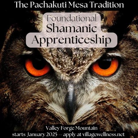 Foundational Shamanic Apprenticeship in the Pachakuti Mesa Tradition \u2013 Valley Forge Mountain 2025