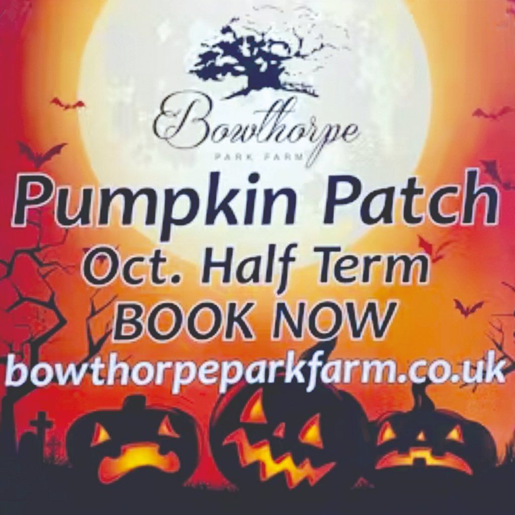 Pumpkin Patch