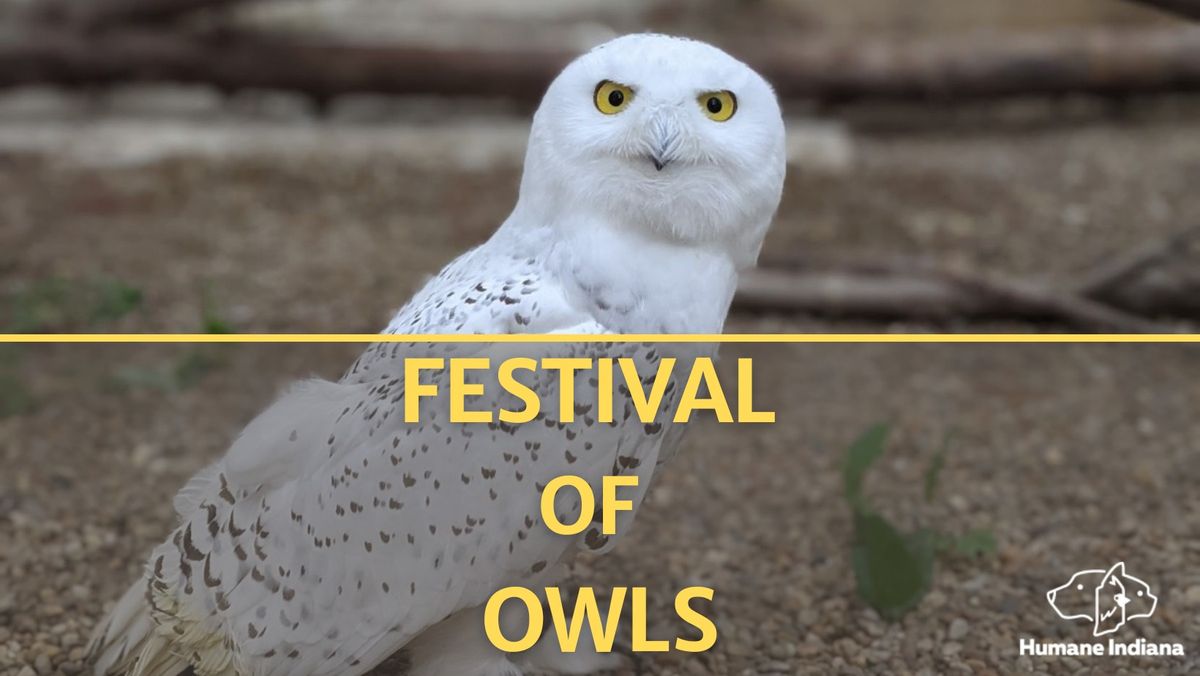 9th Annual Festival of Owls