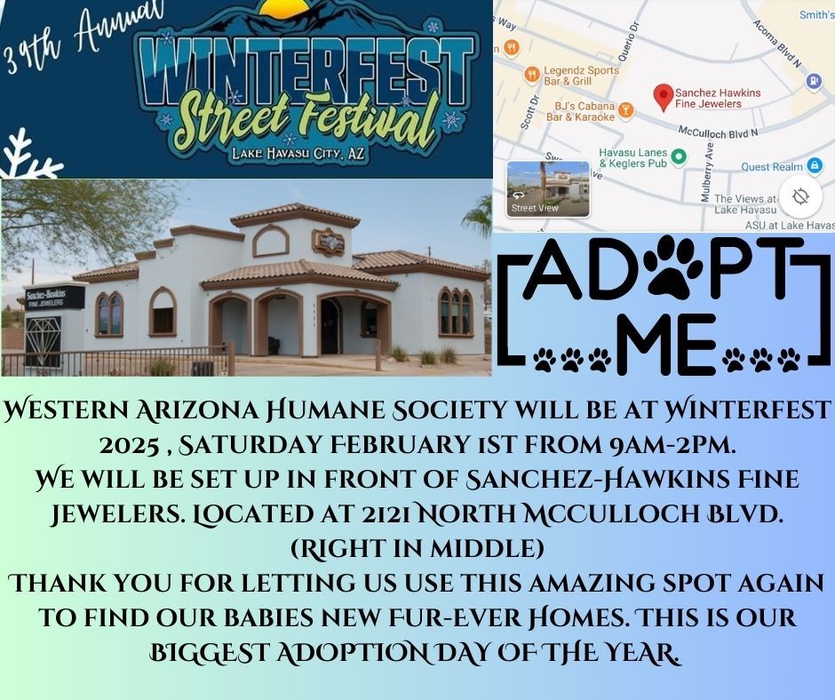 Winterfest Street Festival Adoption Event 