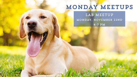 Monday Meetups - Labs