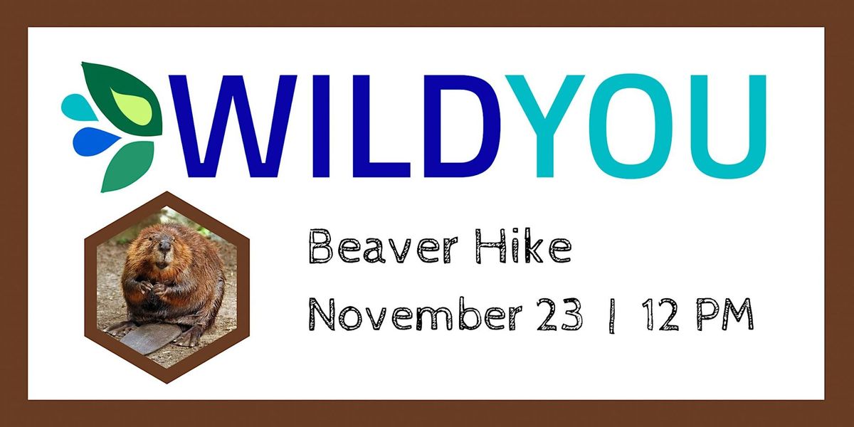 Beaver Hike