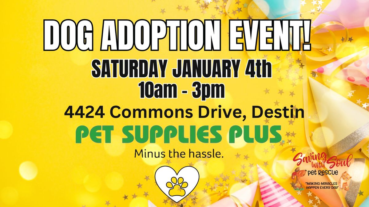 Dog Adoption Event at Pet Supplies Plus