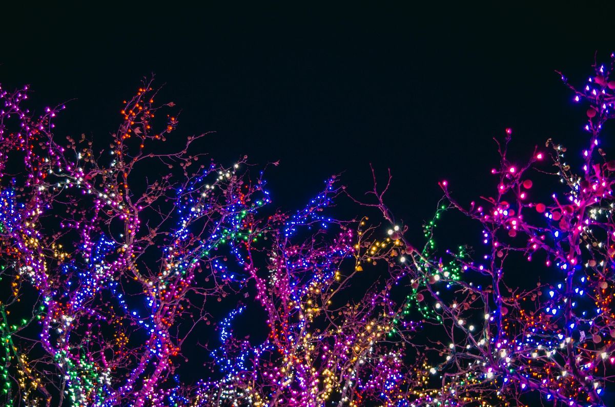 Holiday Lights at Norfolk Botanical Gardens