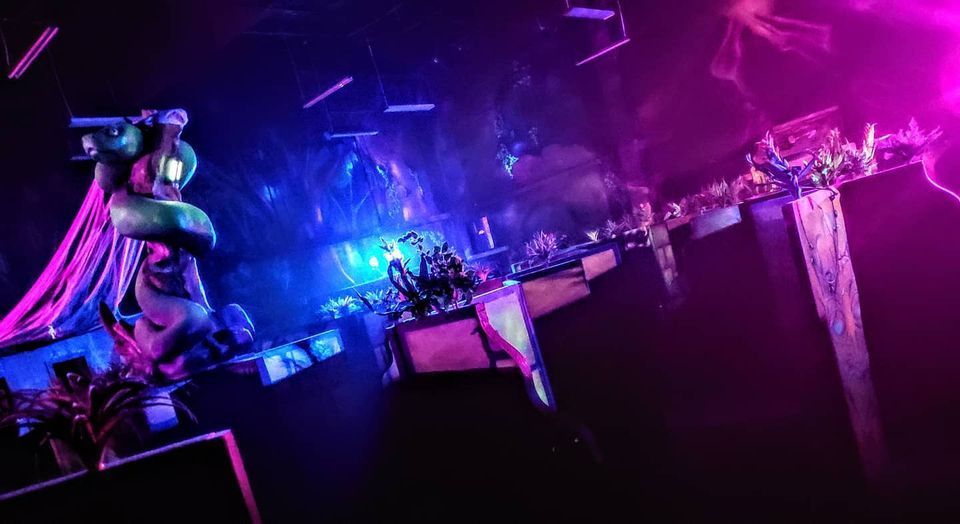 Lights out Laser Tag Unlimited at Galaxy