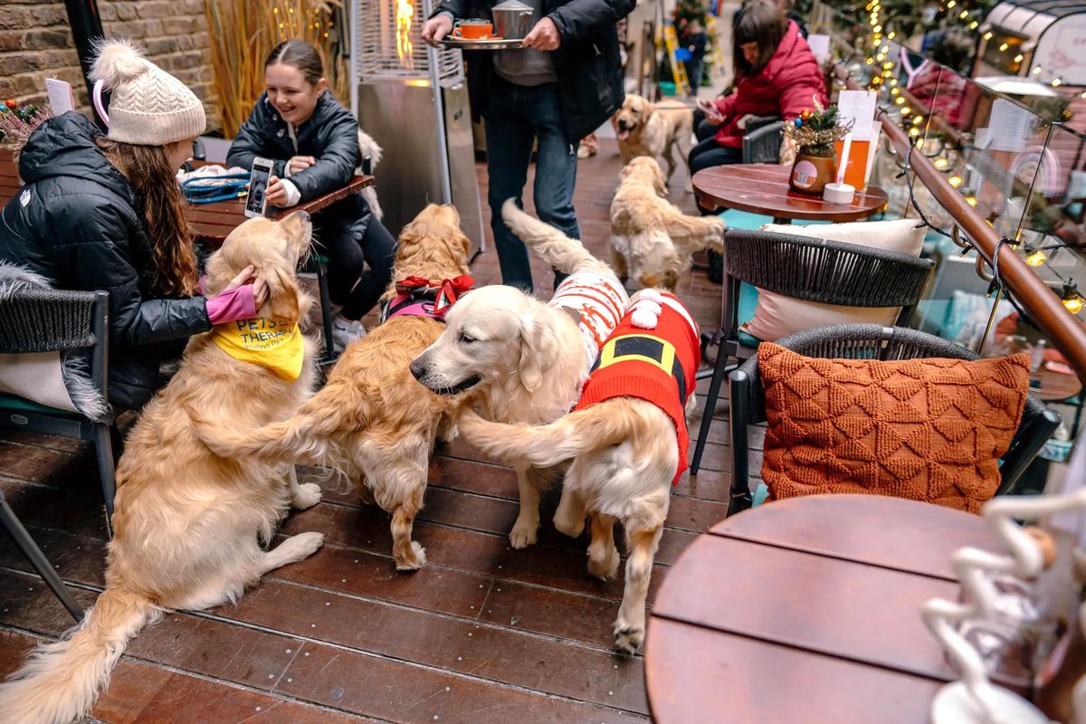 GOLDEN RETRIEVER CAFE\u2122 LONDON - CHRISTMAS