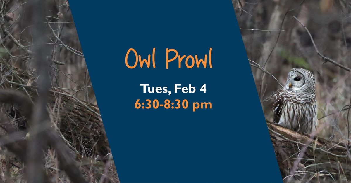 Owl Prowl