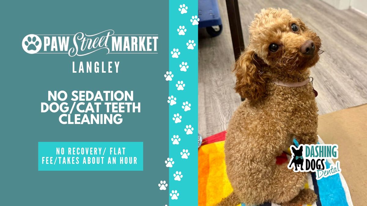 Pet Teeth Cleaning Event - Langley