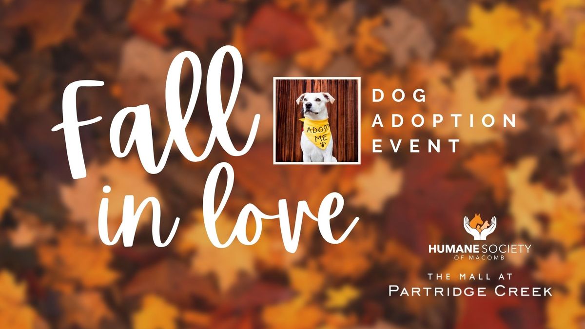 Fall in Love Dog Adoption Event