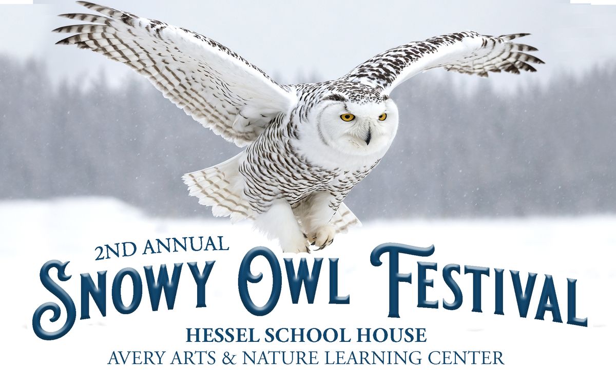 Snowy Owl Festival