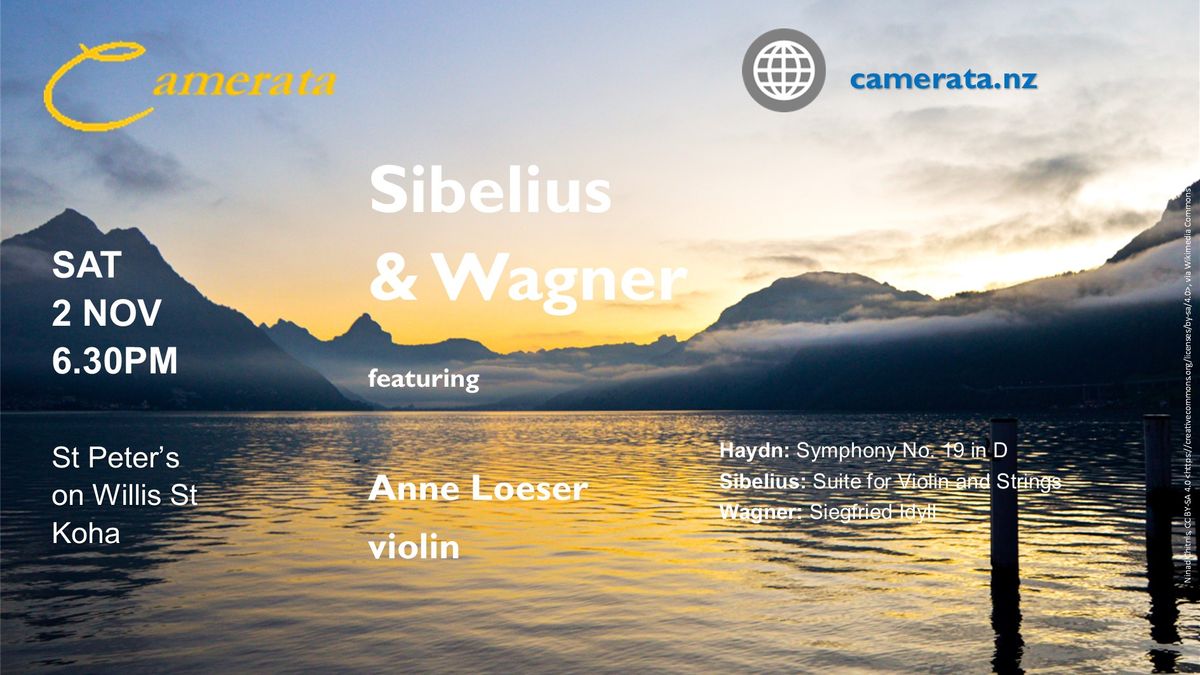 Camerata - Sibelius & Wagner