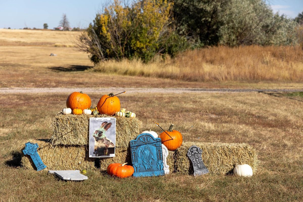 Pumpkin Shoot 