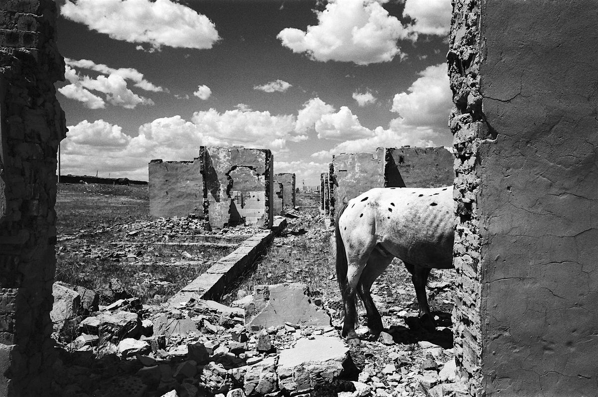 Culture Focus Mongolia 2025 Tour Exhibition