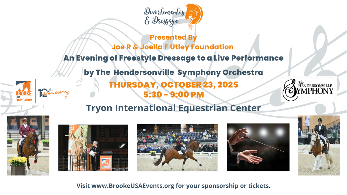 Brook Orchestra Holiday Concert at The Brook Arts Center