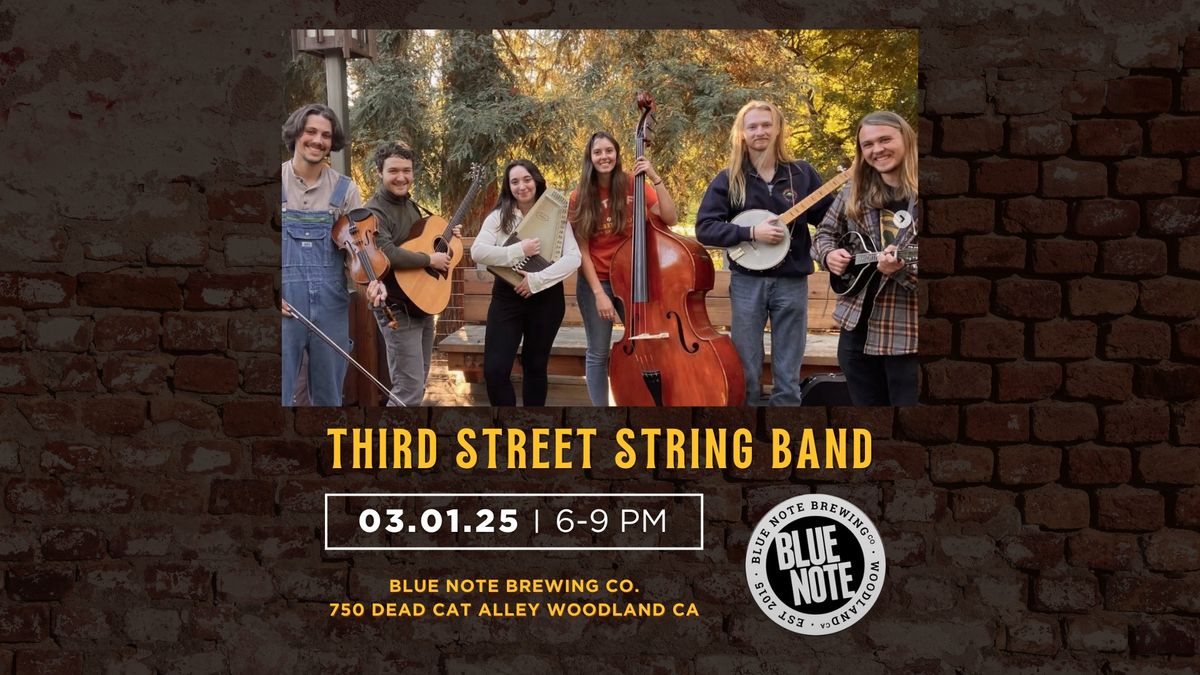 Third Street String Band at Blue Note Brewing Co.