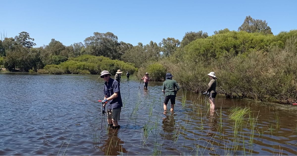 Planting at Mary Carroll Wetlands