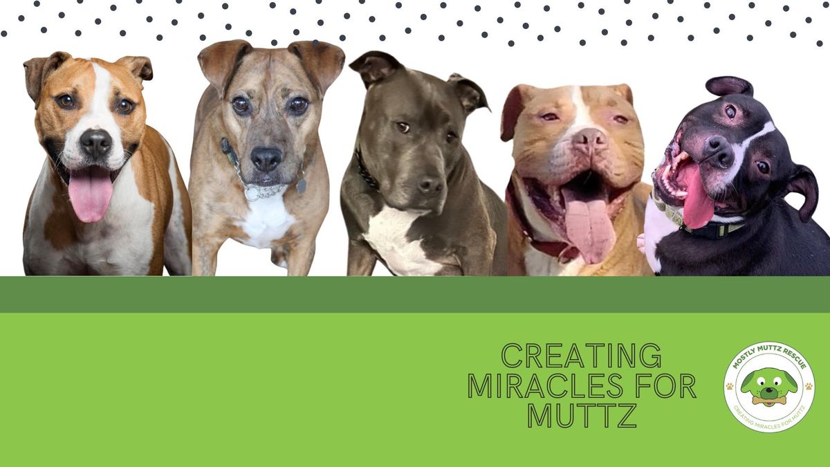 Meet the Muttz - The Ultimate Doggie Destination