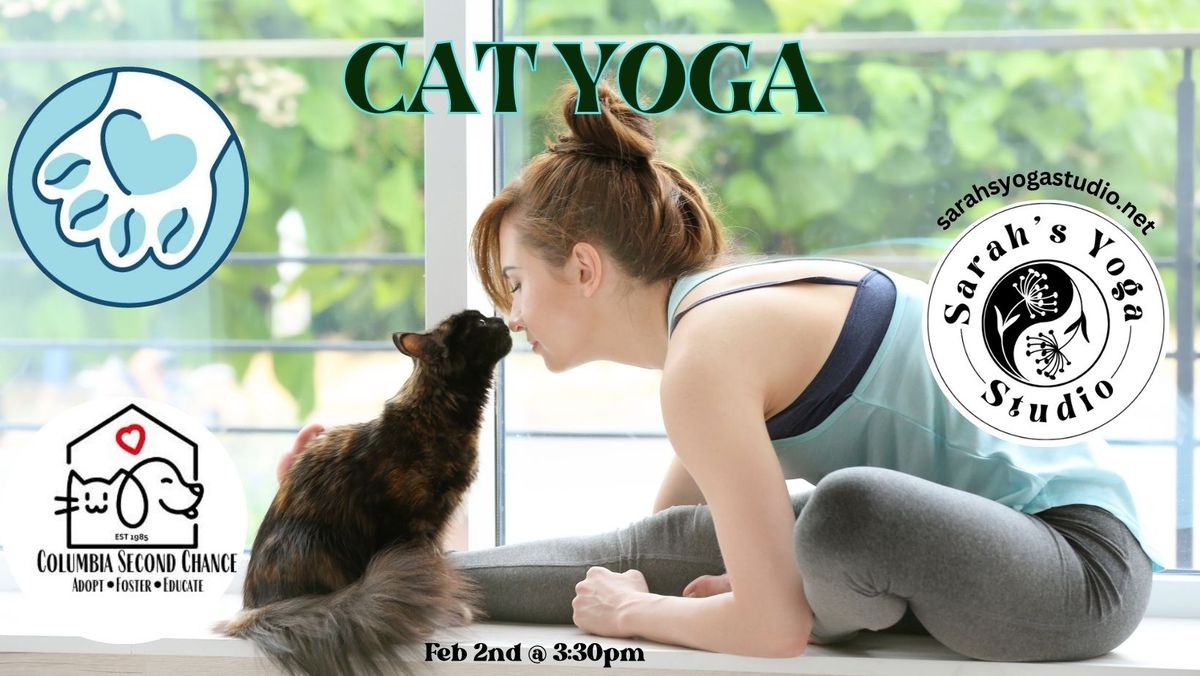 Cat Yoga at Bertha's Beans