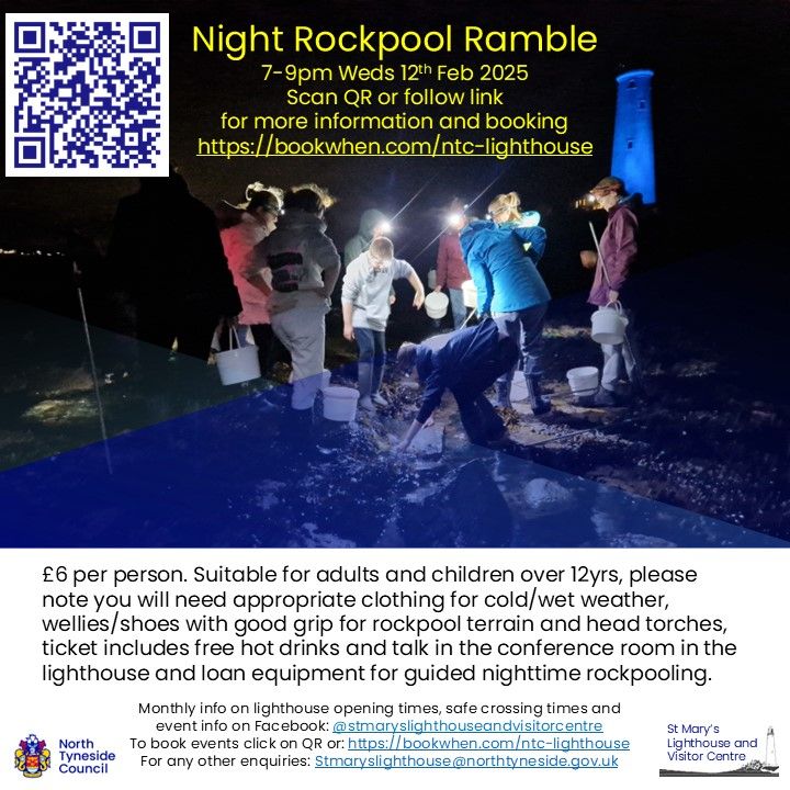 Night rockpool ramble