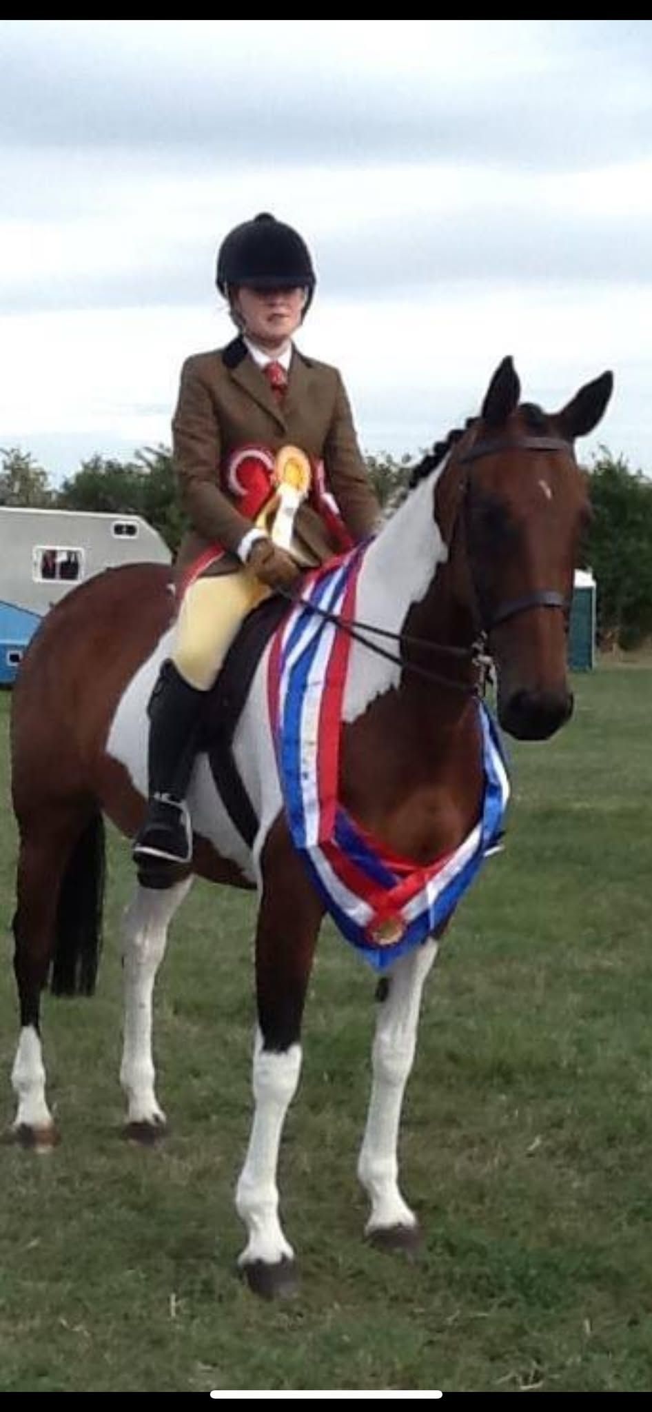 In hand & ridden showing show (date change) 