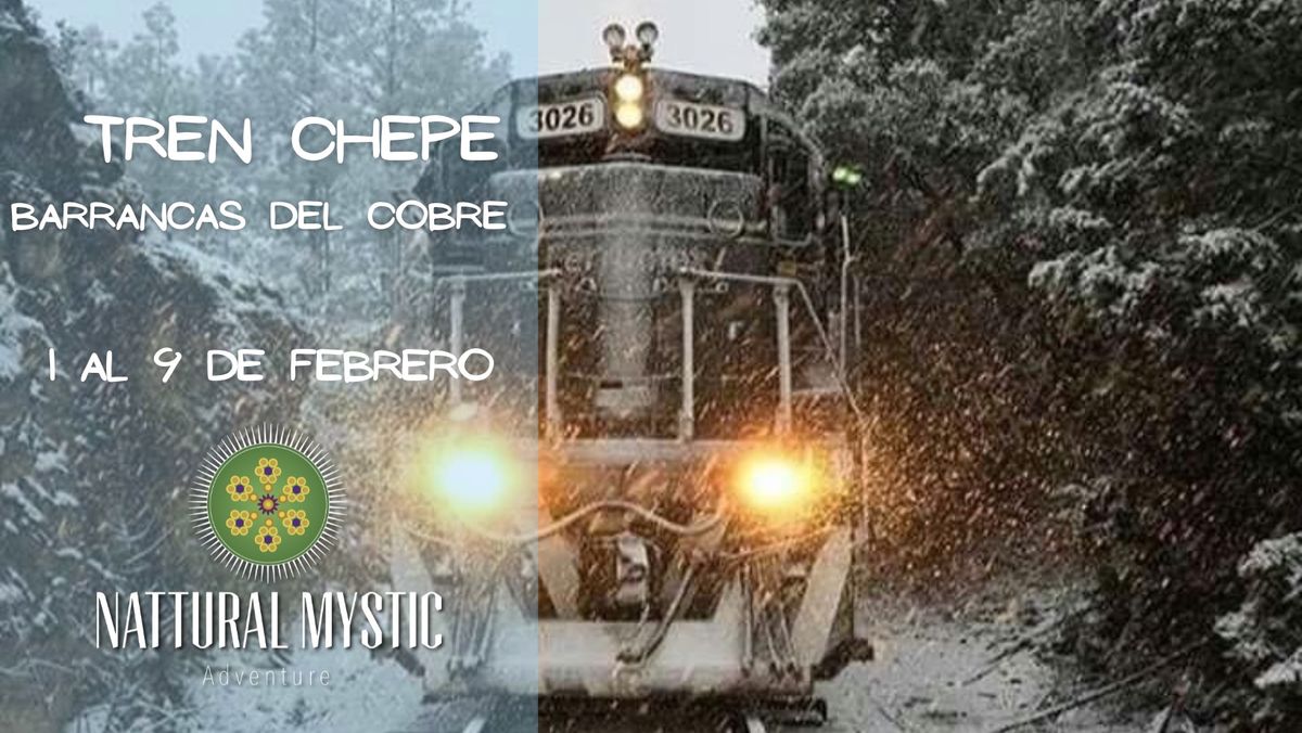 Excursi\u00f3n Tren Chepe \u2022 Barrancas del Cobre 