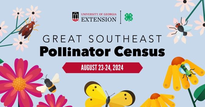 Pollinator Census- Let's count!