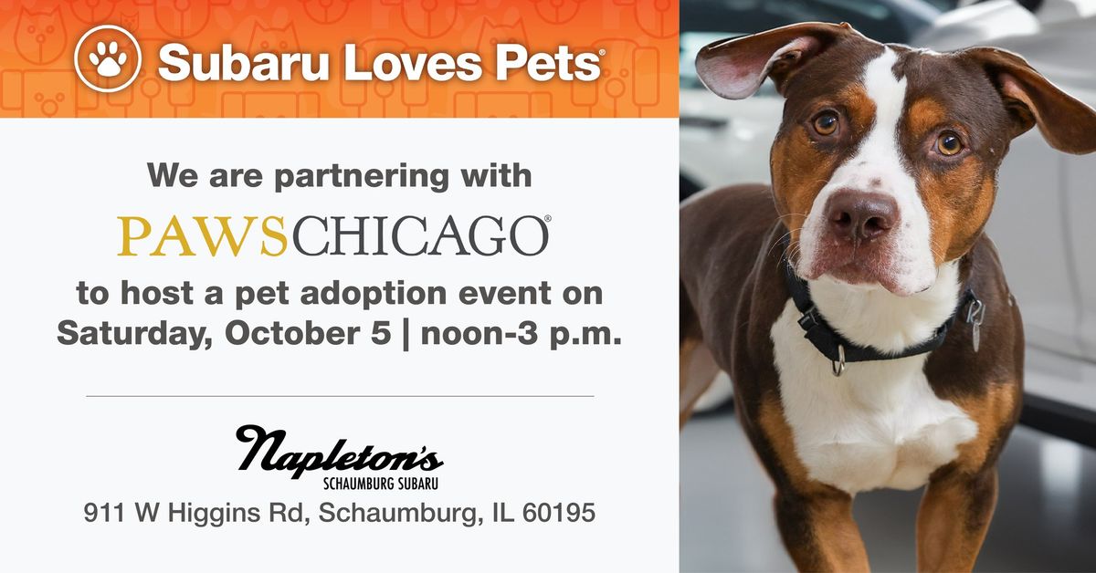 Napleton of Subaru Adoption Event